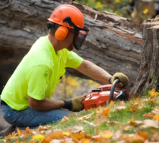 tree services Sharptown